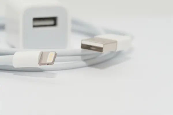 무료 대출 비품