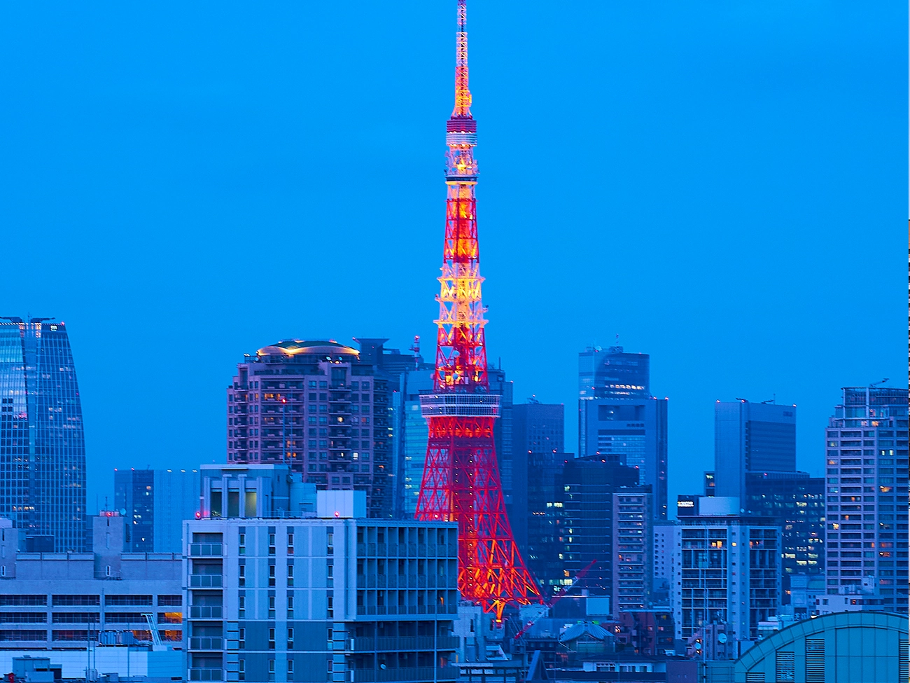 전망 / TOKYO TOWER